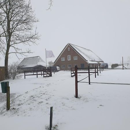 Ferienwohnung Landelijk Gelegen Boerderij Aan De Pothofweg Anevelde Exterior foto