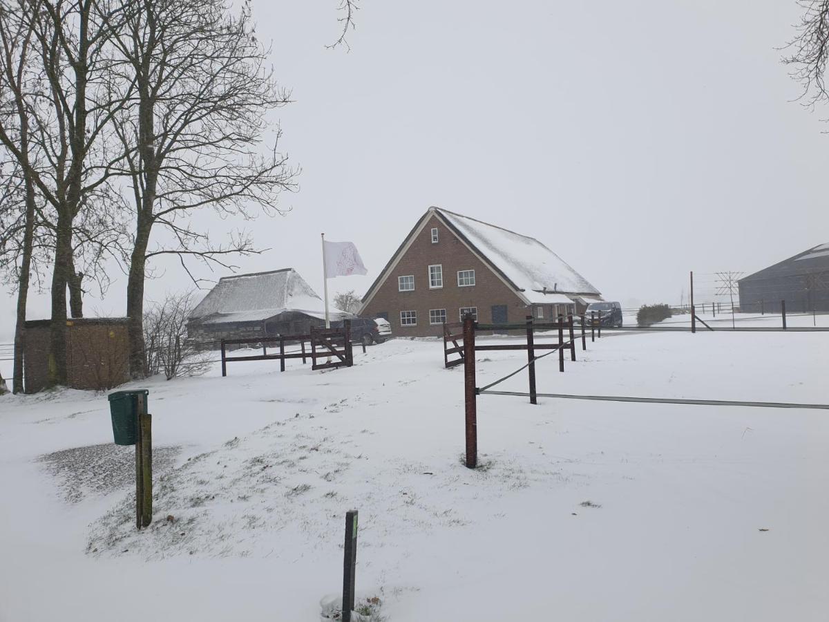 Ferienwohnung Landelijk Gelegen Boerderij Aan De Pothofweg Anevelde Exterior foto